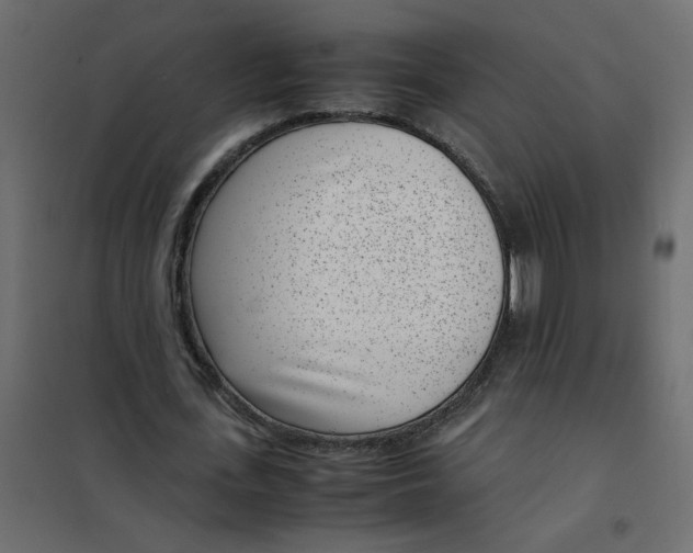 X0000101990723200808081635