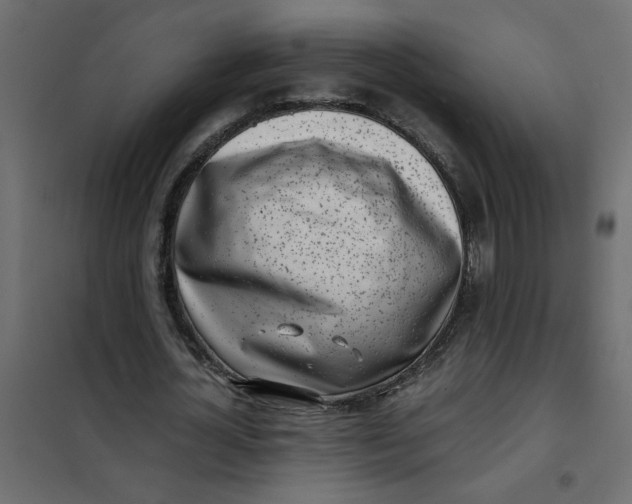 X0000101990724200808081635