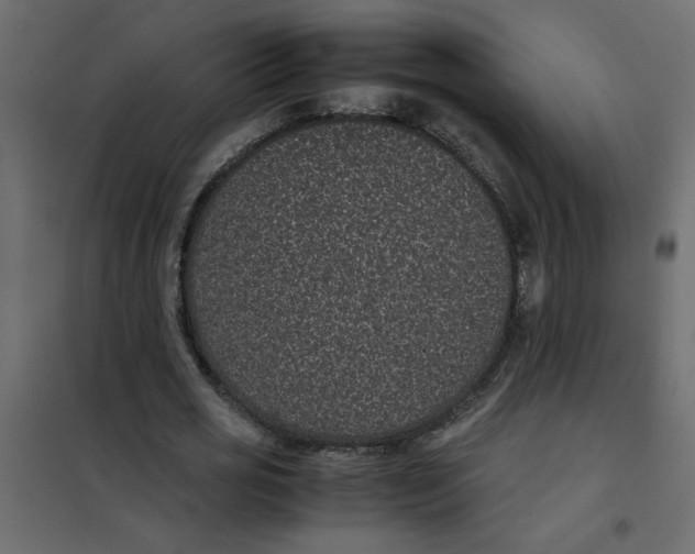 X0000101990725200808081635