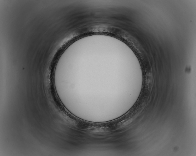 X0000101990727200808081635