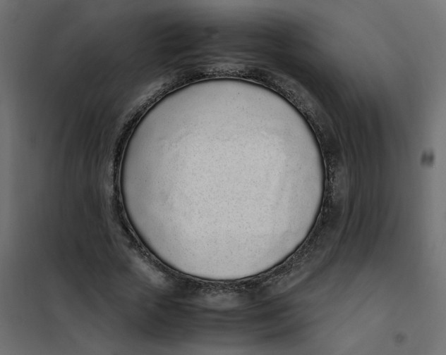 X0000101990729200808081635