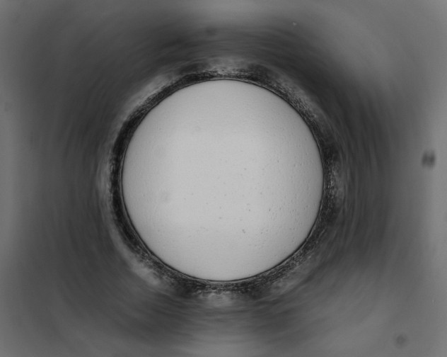 X0000101990730200808081635