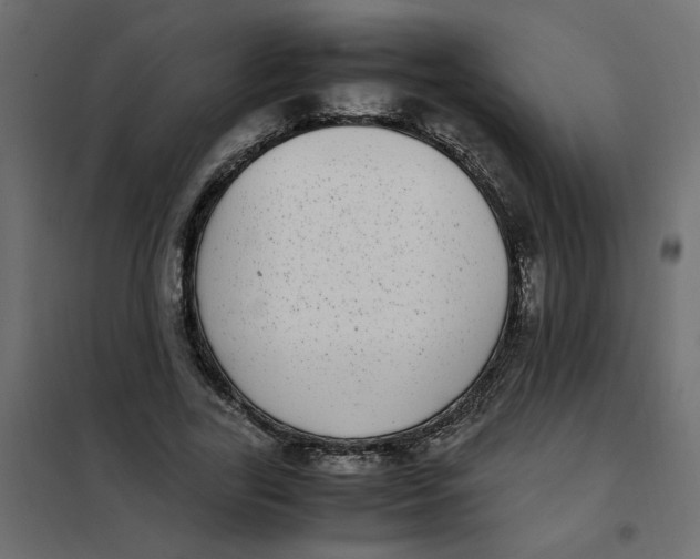 X0000101990731200808081635