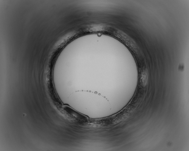 X0000101990732200808081635