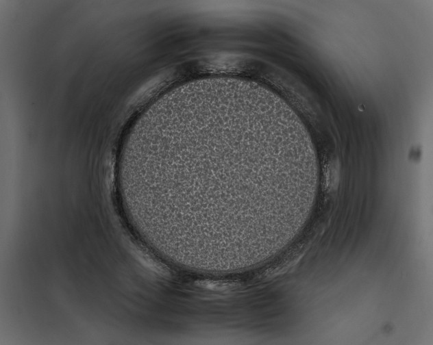 X0000101990733200808081635