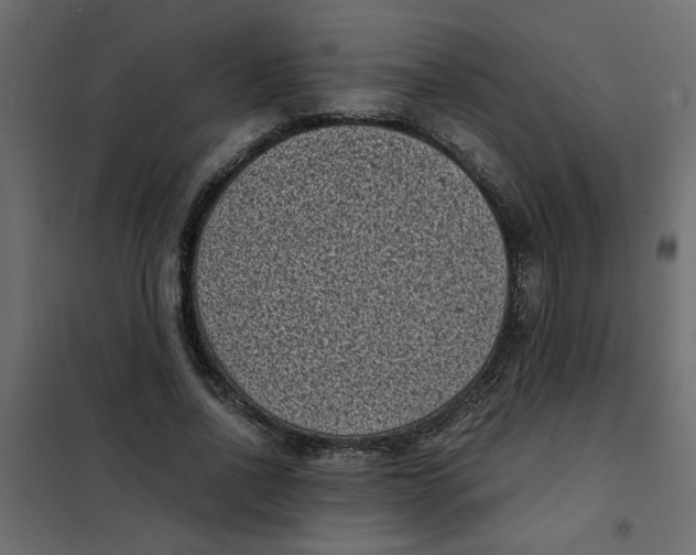 X0000101990734200808081635