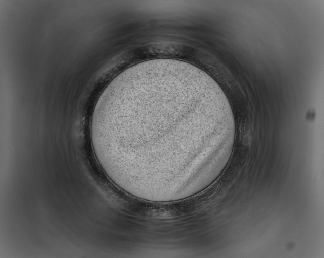 X0000101990735200808081635