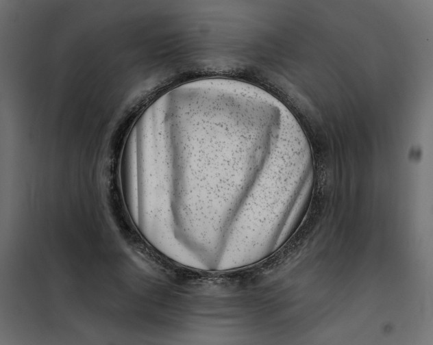 X0000101990736200808081635