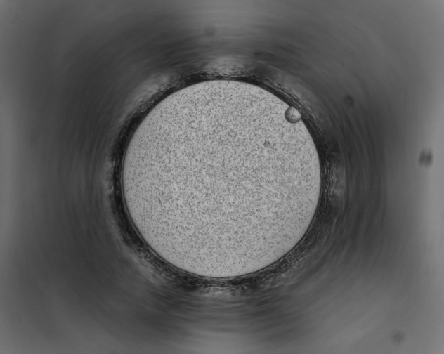 X0000101990738200808081635