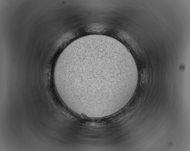 X0000101990739200808081635