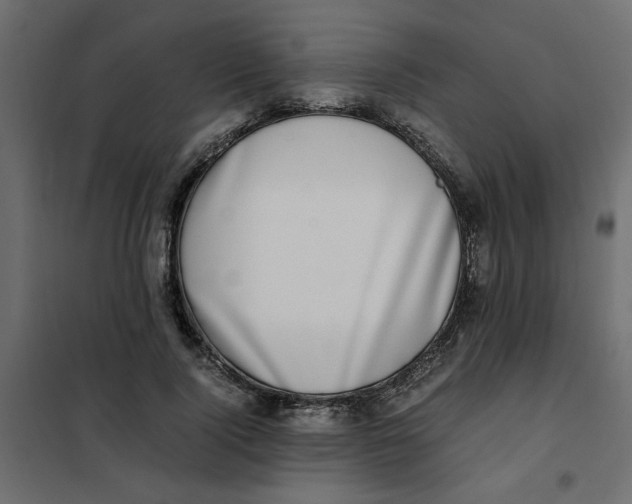 X0000101990740200808081635