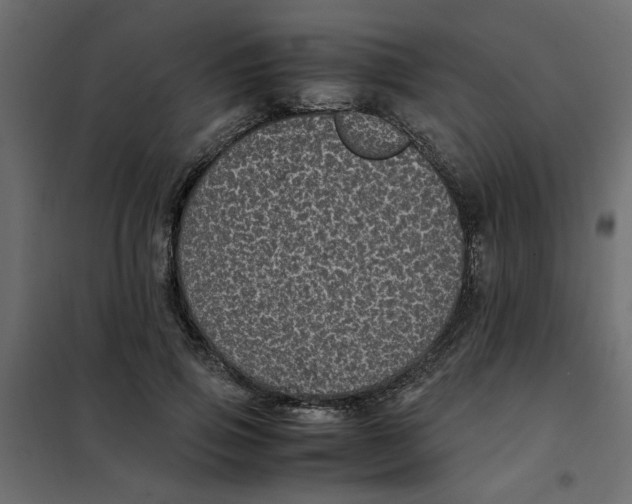 X0000101990741200808081635