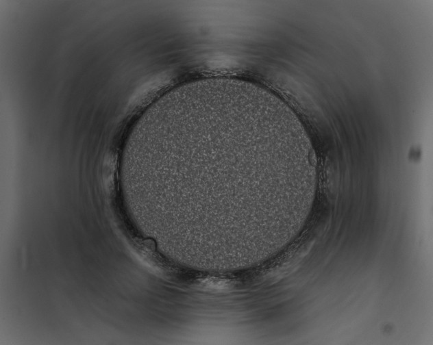 X0000101990742200808081635