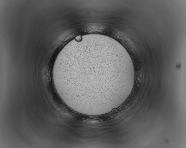 X0000101990743200808081635