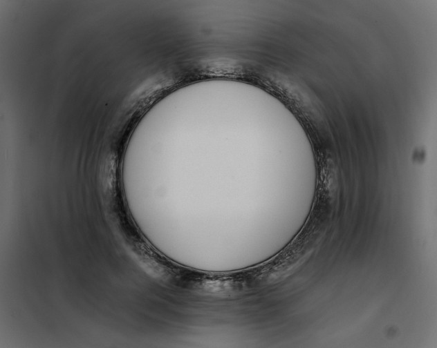 X0000101990744200808081635