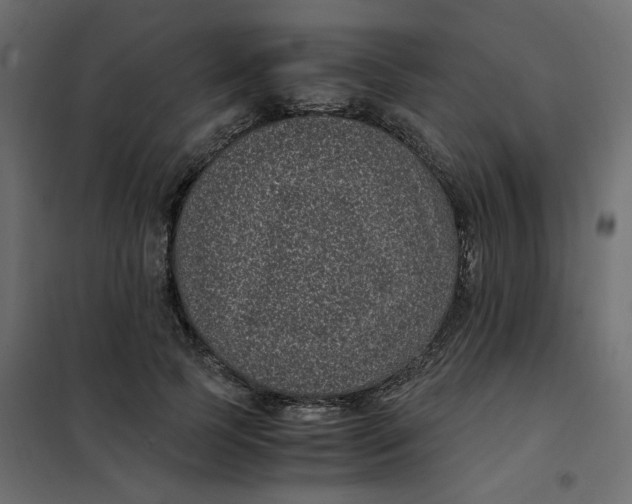 X0000101990745200808081635