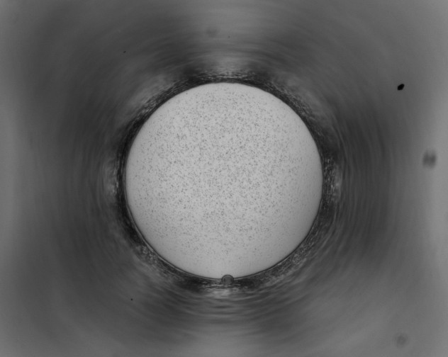 X0000101990746200808081635