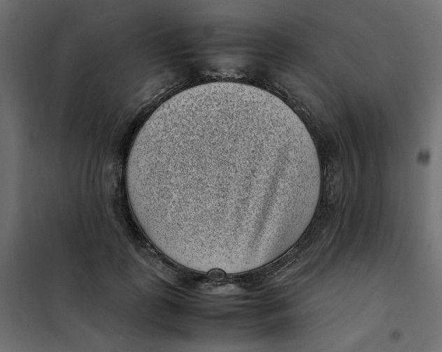 X0000101990747200808081635