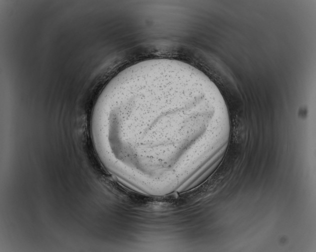 X0000101990748200808081635