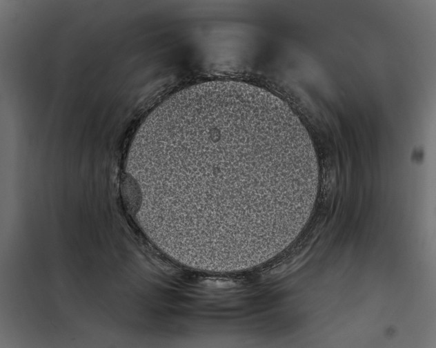 X0000101990749200808081635