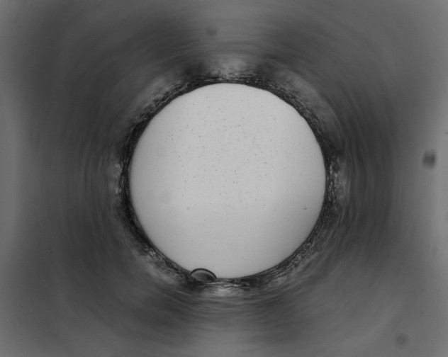 X0000101990750200808081635