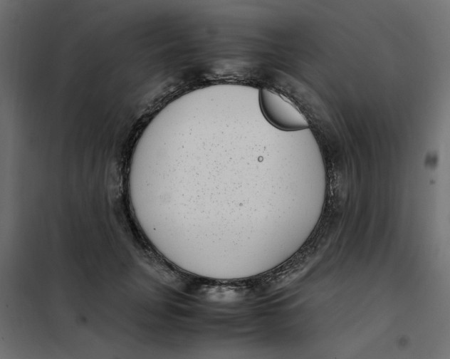 X0000101990751200808081635