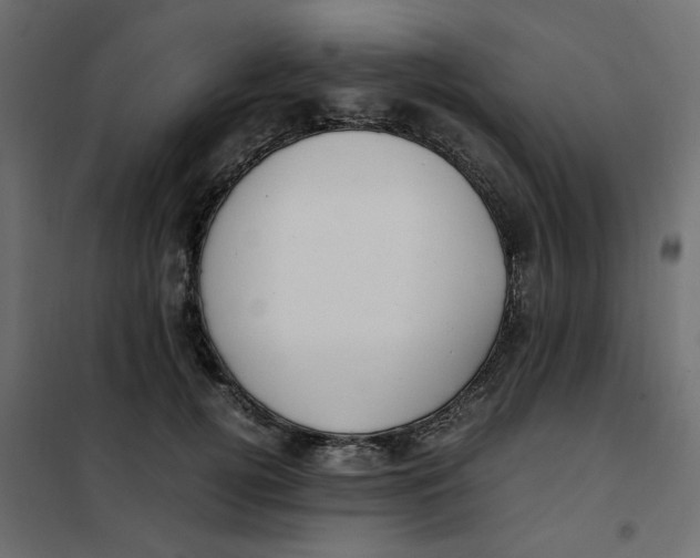 X0000101990752200808081635