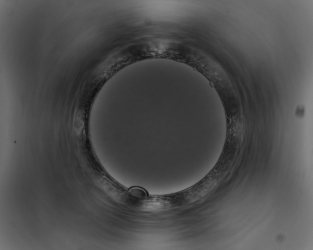 X0000101990754200808081635