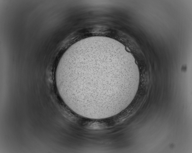 X0000101990755200808081635