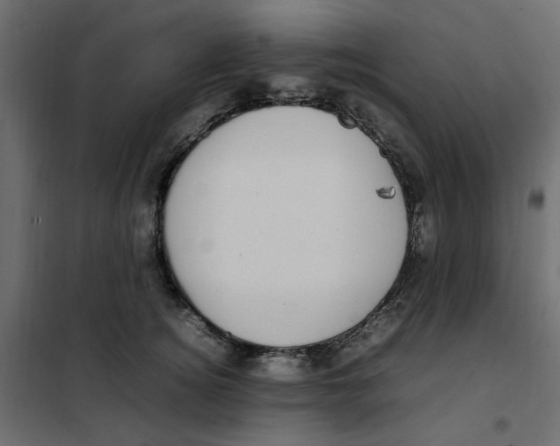 X0000101990756200808081635