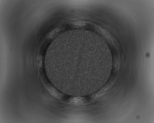 X0000101990758200808081635