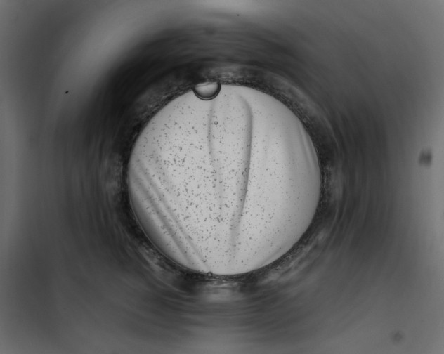 X0000101990760200808081635