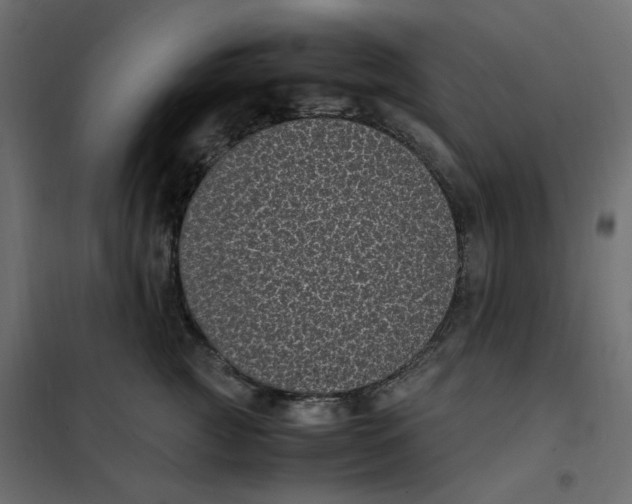 X0000101990761200808081635