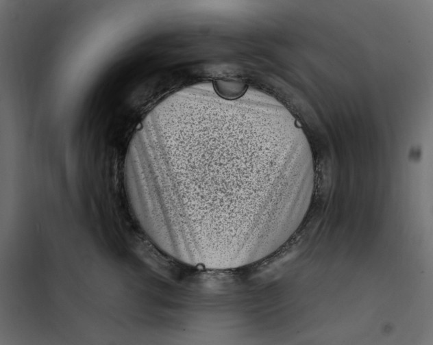 X0000101990762200808081635