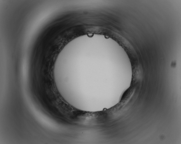 X0000101990764200808081635