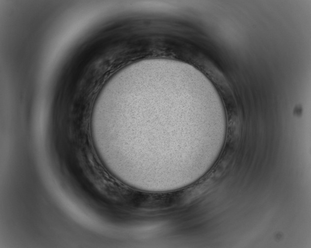 X0000101990765200808081635