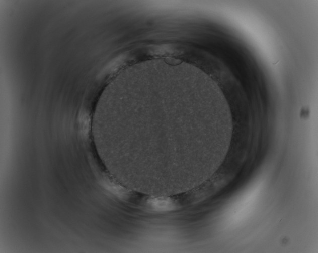 X0000101990767200808081635