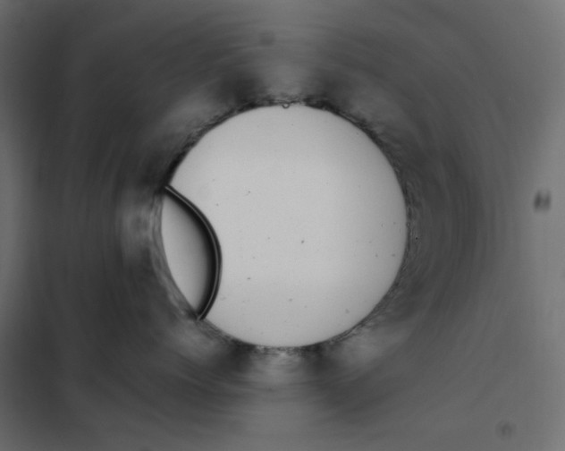 X0000101990768200808081635