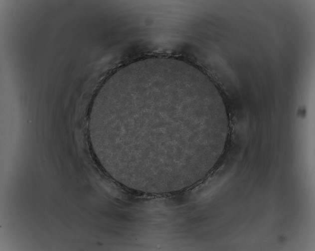 X0000101990769200808081634