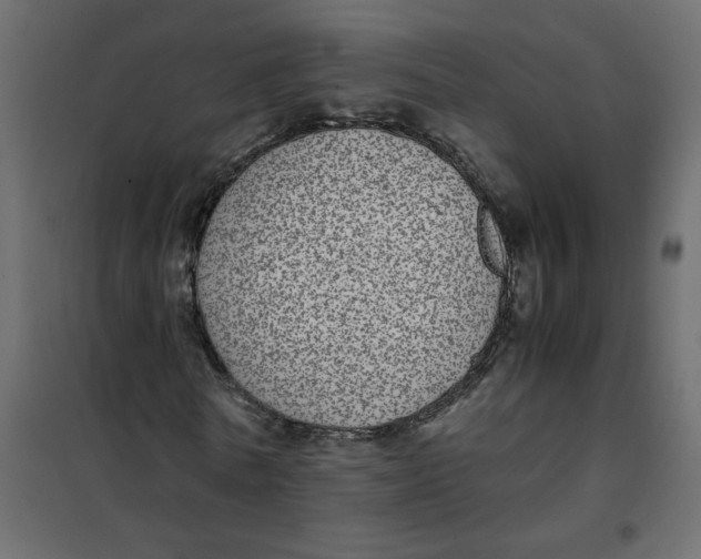 X0000101990770200808081634