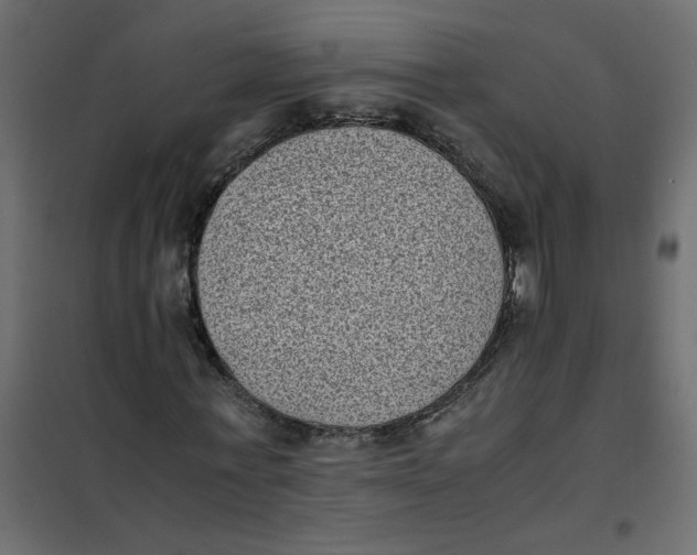 X0000101990771200808081634