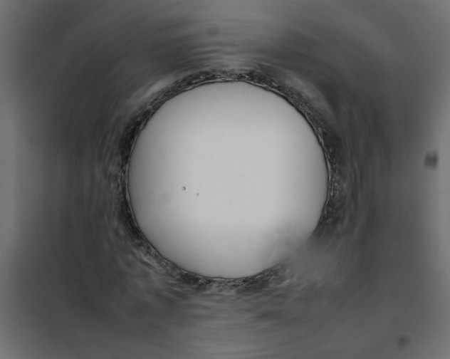 X0000101990773200808081634