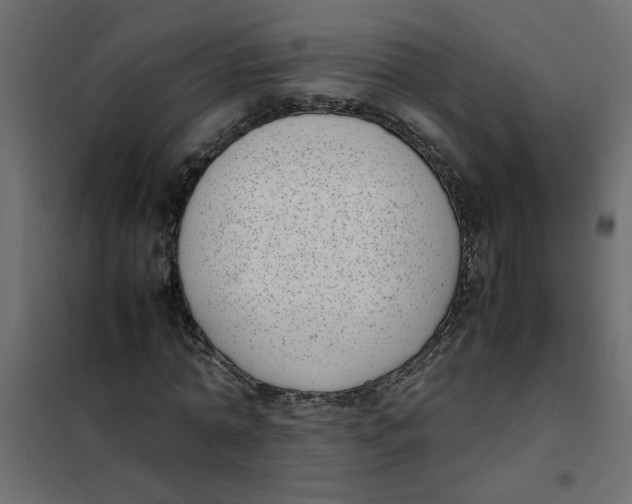 X0000101990774200808081634