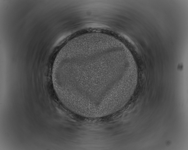 X0000101990775200808081634