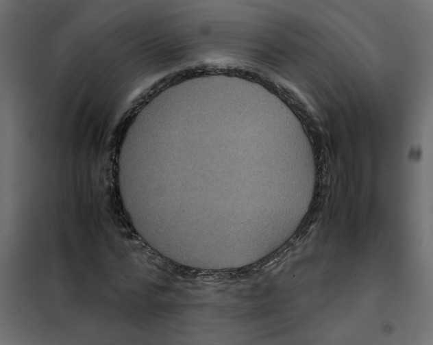 X0000101990776200808081634