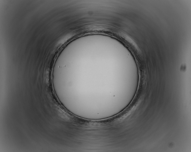 X0000101990777200808081634