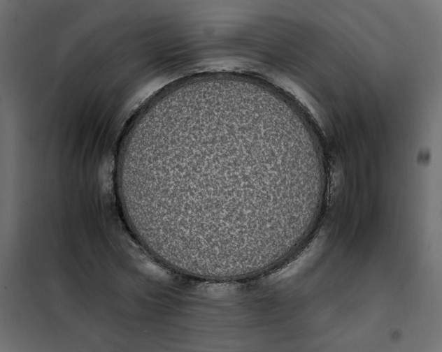 X0000101990778200808081634