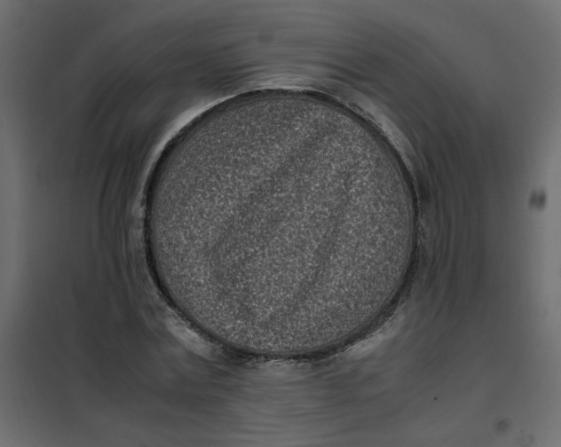 X0000101990779200808081634