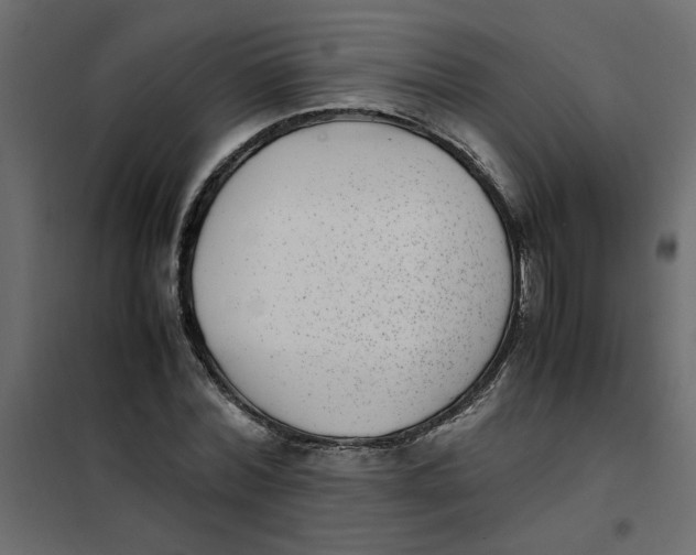 X0000101990780200808081634