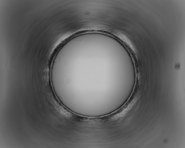 X0000101990781200808081634